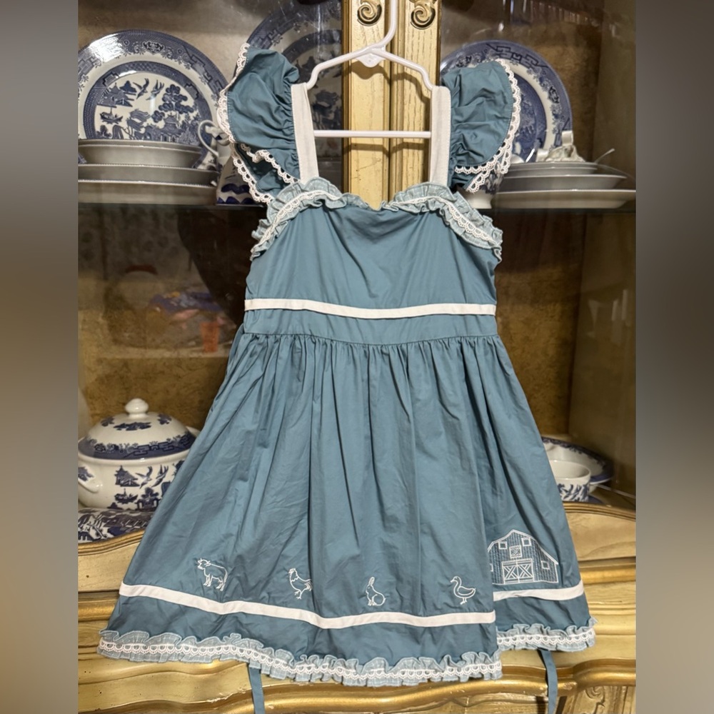 Evie’s Closet Farm Dress size 5